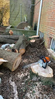 Tree Felling And Garden Services