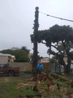 Tree Felling And Garden Services