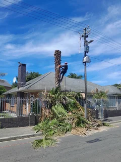 Tree Felling And Garden Services