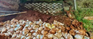 Dirty things removals