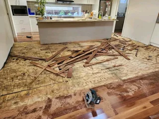 Painter /handyman near you