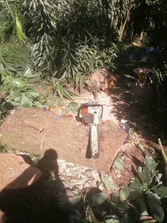 Tree felling and Stump removal