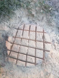 Tree felling and Stump removal