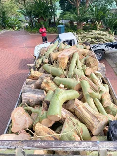 Tree Felling And Stump Removal