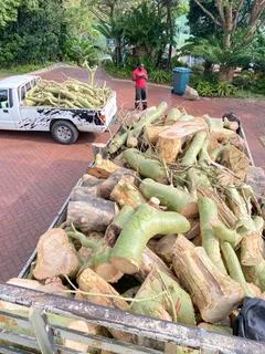 TREE FELLING AND STUMP REMOVAL