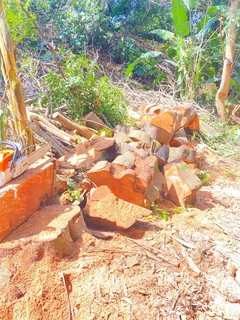 TREE FELLING AND STUMP REMOVAL