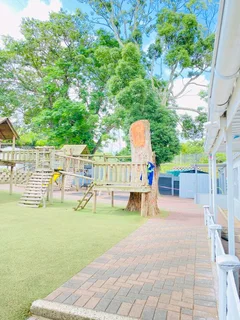 TREE FELLING AND STUMP REMOVAL