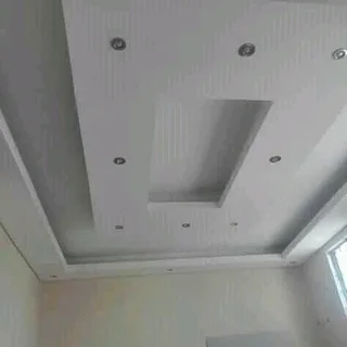 Petro master Ceiling