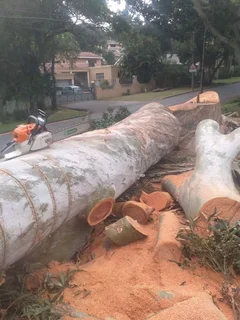 We can help you to find professional helpers caregivers, Nannies, painters, builders,plumbers etc.