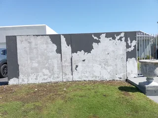 Painting and property maintanance