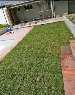 Kikuyu lawnBuffalo lawnLm beria lawnCynadon lawnGolf Green lawn