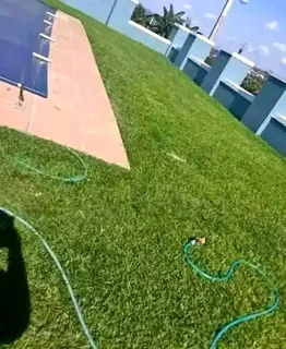 0754155940Get A Fresh, Lush Lawn Instantly with Our Installation Services as follows *✅Cinadon gras