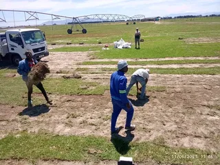 0754155940Get A Fresh, Lush Lawn Instantly with Our Installation Services as follows *✅Cinadon gras