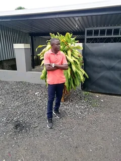 APPLICATION FOR THE JOB AS AGARDEN BOY