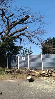 L M TREE FELLING AND GARDEN SERVICES