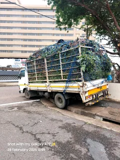 L M TREE FELLING AND GARDEN SERVICES