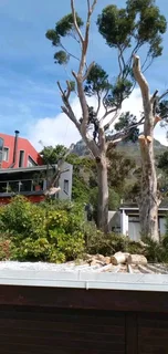 Lm Tree Felling And Garden Services