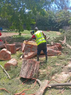 L M Tree Felling And Garden Services 0728348818
