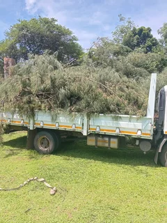 L M TREE FELLING AND GARDEN SERVICES