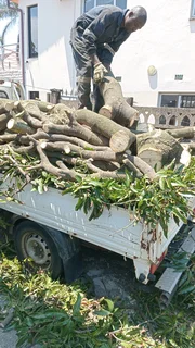 L M TREE FELLING AND GARDEN SERVICES