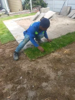 Kikuyu grass weed free deliver and install with top soil available fresh from the farm