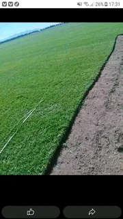 Kikuyu grass weed free deliver and install with top soil available fresh from the farm