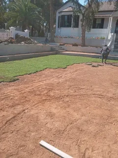 Kikuyu grass weed free deliver and install with top soil available fresh from the farm