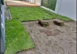 Fit and supply kiluyu grass fresh from the farm with top soil available