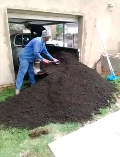 Fit and supply kiluyu grass fresh from the farm with top soil available