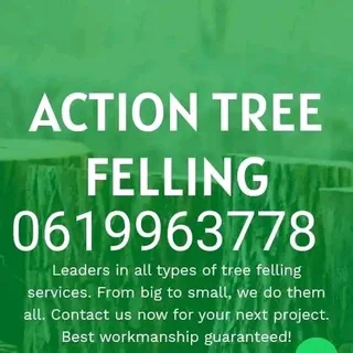 Tree felling services