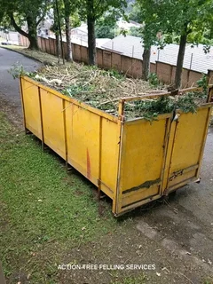 Tree felling services