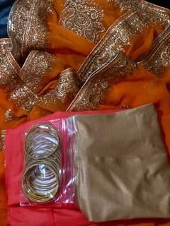 Saree (Orange with  Gold Colour Border) I’m selling the complete outfit together