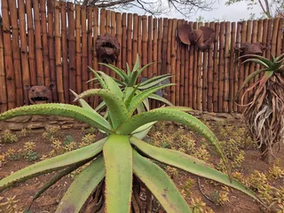 Self-catering Wooden units