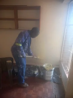 Professional Painter,waterproofing, Plastering Is Available