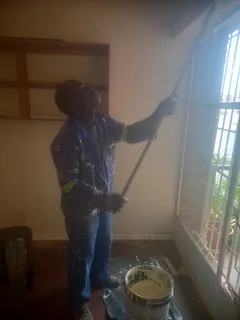 PROFESSIONAL PAINTER,WATERPROOFING, PLASTERING IS AVAILABLE