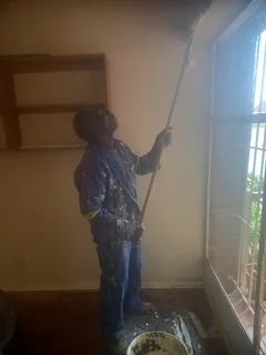 PROFESSIONAL PAINTER,WATERPROOFING, PLASTERING IS AVAILABLE