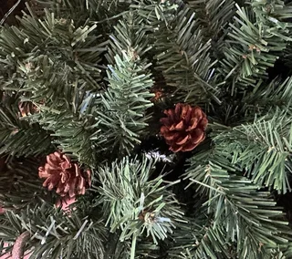 Canadian Christmas Tree: 1.2m