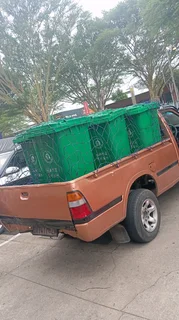 Gaza tree felling and removal