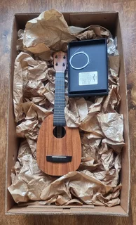 Special Shape Ukelele - Oval