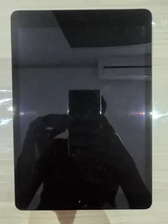 Apple Ipad 9th Generation