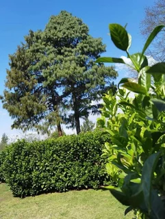 Beautifully Kept Home With Everything You Need