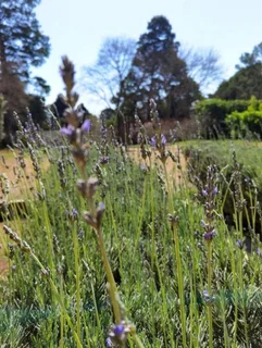 Beautifully Kept Home With Everything You Need