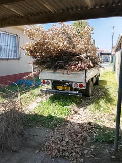 Waste and rubble removal