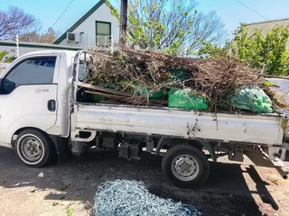 Waste and rubble removal