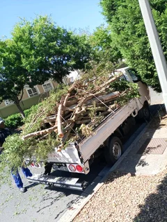 Waste and rubble removal