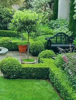 Am looking for a job