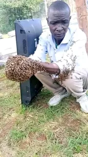 Love Psychic & Traditional Healer In Johannesburg