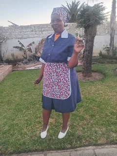 Sandile, I Am A Zimbabwean Maid Looking For A Domestic And Cleaning Job.