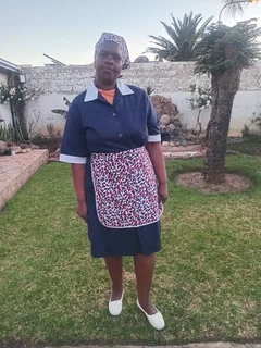 Sandile, I Am A Zimbabwean Maid Looking For A Domestic And Cleaning Job