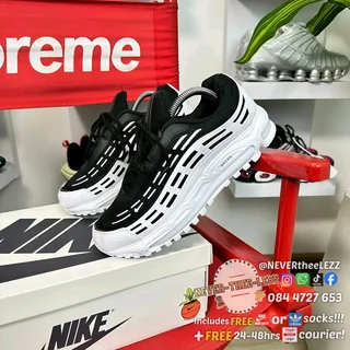 CDG homme plus x Nike air max TL 2.5